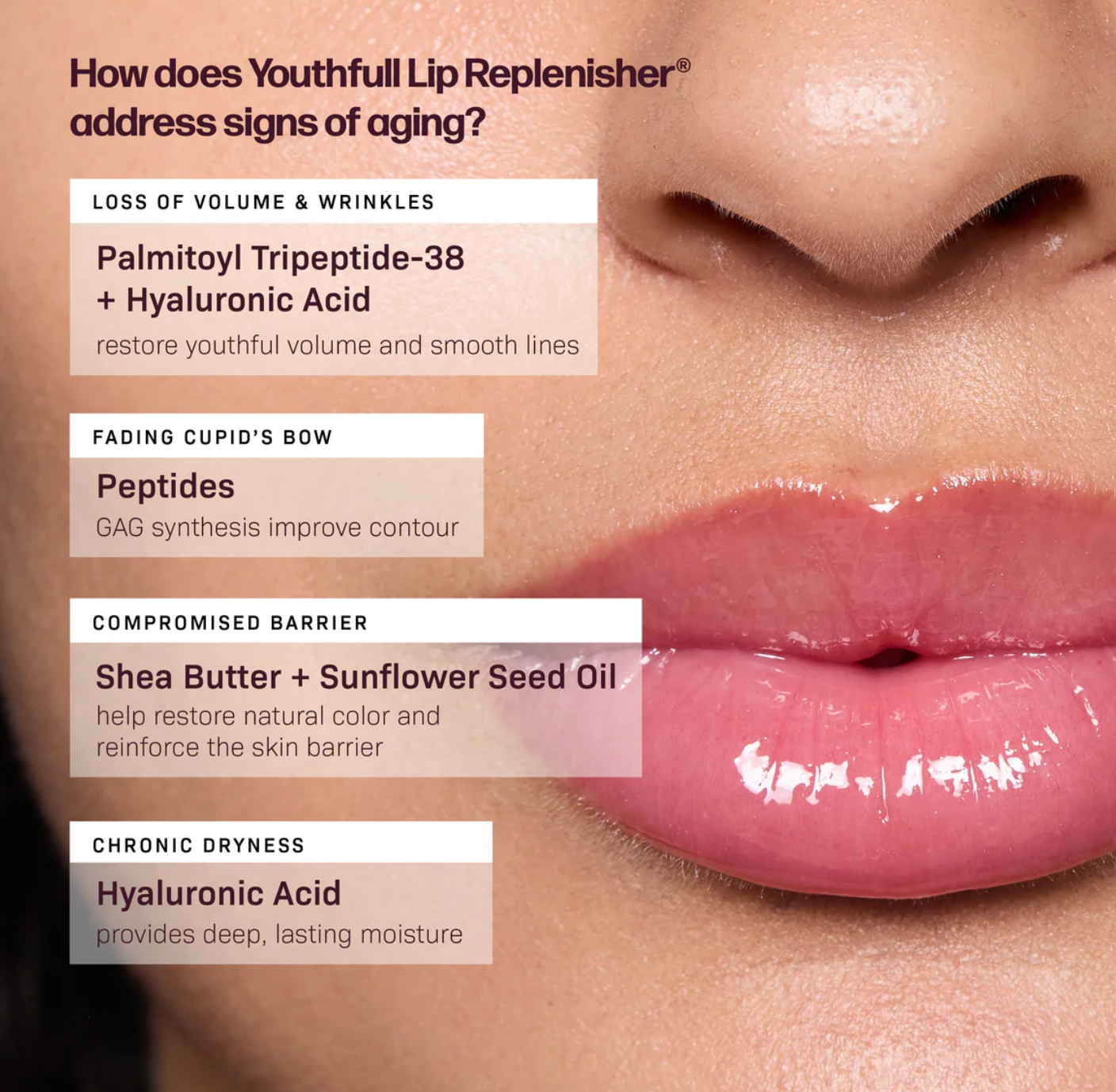 Revision Skincare Tinted YouthFull Lip Replenisher